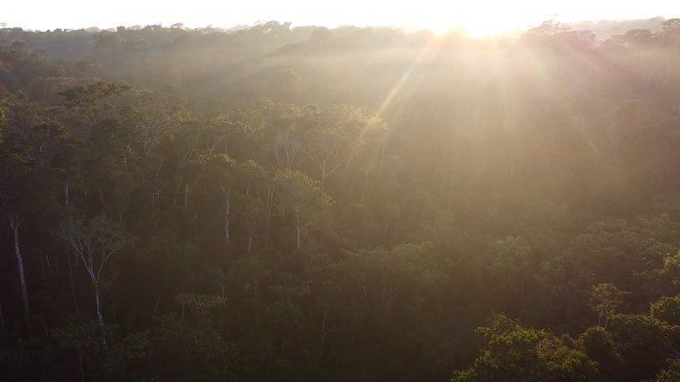 PESQUISADORES DA UFPB INTEGRAM GRUPO QUE ESTUDA IMPACTOS METEOROLÓGICOS DE DISTANTES REGIÕES DO GLOBO NA AMAZÔNIA PESQUISADORES DA UFPB INTEGRAM GRUPO QUE ESTUDA IMPACTOS METEOROLÓGICOS DE DISTANTES REGIÕES DO GLOBO NA AMAZÔNIA