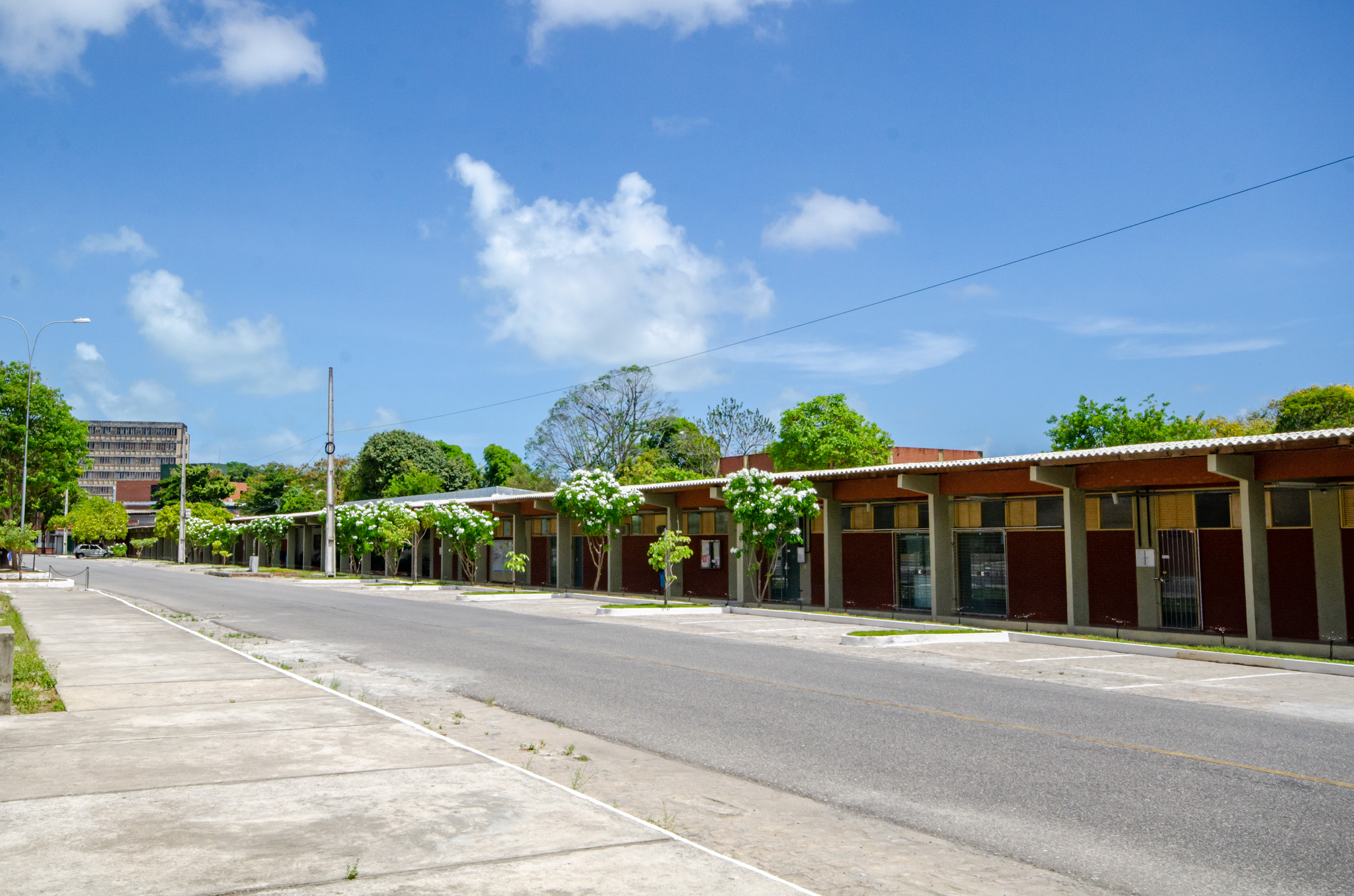 Foto: Angélica Gouveia