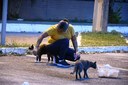 Projeto na UFPB promove bem-estar de animais no campus João Pessoa