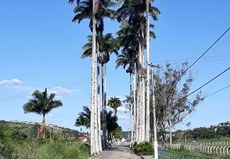 Aulas ocorrerão no Bloco de Aulas do CCHSA, em Bananeiras. Foto: Carlos Eduardo