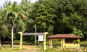 Regeneração de floresta leva mais de três décadas, diz estudo da UFPB