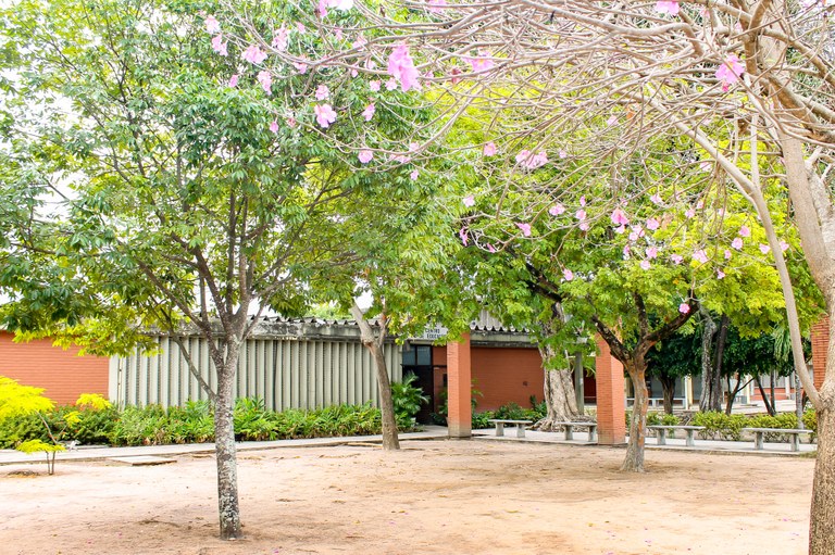 UFPB ABRE SELEÇÃO DE PROFESSOR FORMADOR PARA CURSOS A DISTÂNCIA DO DEPARTAMENTO DE EDUCAÇÃO NO CAMPO