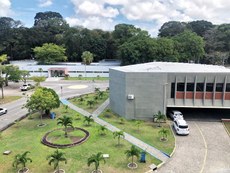 Crédito: Angélica Gouveia