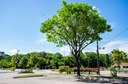UFPB COMUNICA SOBRE FERIADO NESTA QUARTA (08) NOS CAMPI DE JOÃO PESSOA E SANTA RITA E DE AREIA