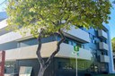 UFPB oferta 25 vagas para mestrado e doutorado em Ciências Contábeis