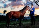 UFPB oferta seis vagas para mestrado em Ciência Animal