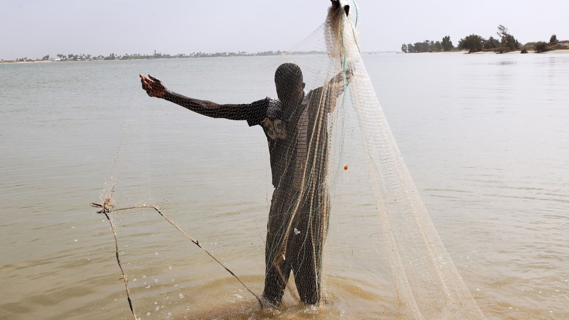 UFPB promove capacitação para pescadores artesanais com foco em sustentabilidade UFPB promove capacitação para pescadores artesanais com foco em sustentabilidade