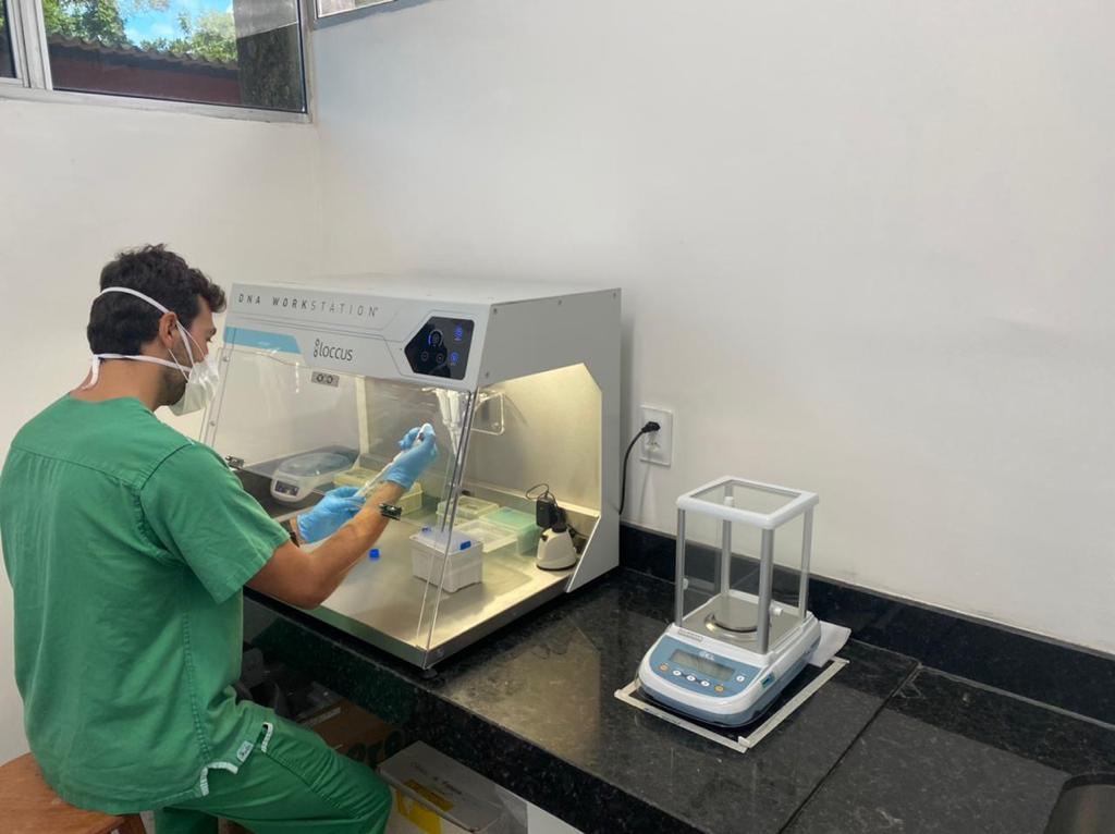 UFPB REALIZA MAPEAMENTO GENÉTICO DE BACTÉRIA QUE CAUSA MENINGITE E INFECÇÕES Foto: Divulgação