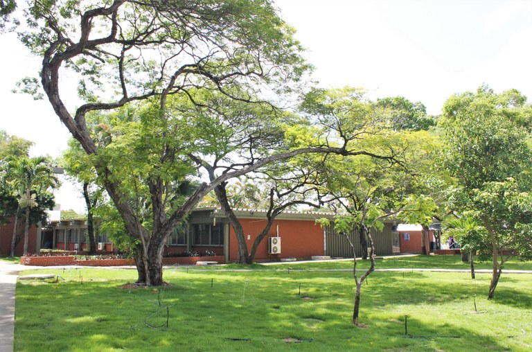 CCHLA - Centro de Ciências Humanas, Letras e Artes. CCHLA - Centro de Ciências Humanas, Letras e Artes.