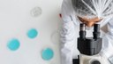 Mestrado em Biologia Celular e Molecular da UFPB oferta 11 vagas com ingresso no segundo semestre de 2025