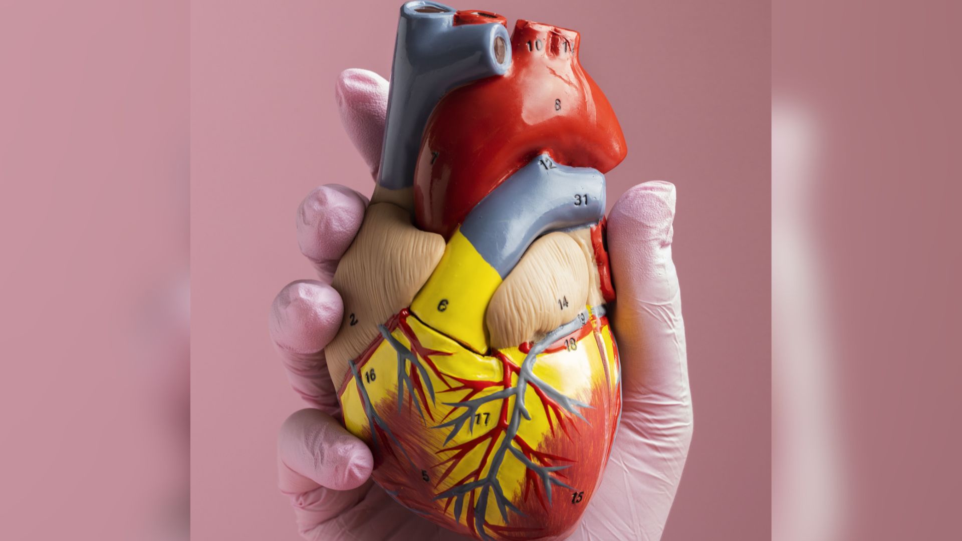 UFPB abre seleção para Mestrado e Doutorado do Programa Multicêntrico em Ciências Fisiológicas