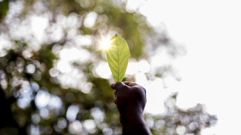 UFPB oferece 18 vagas para o Mestrado Acadêmico em Ecologia e Sustentabilidade